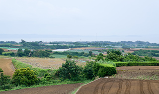 イイジマ農園