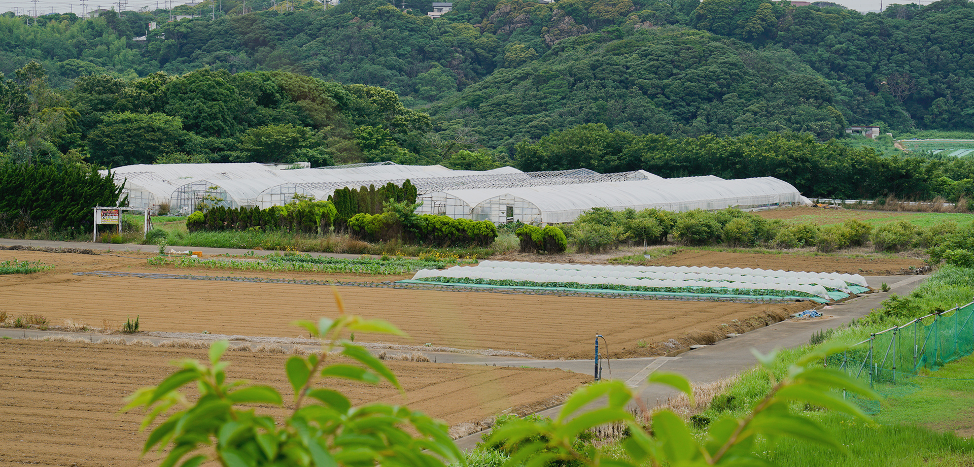 イイジマ農園